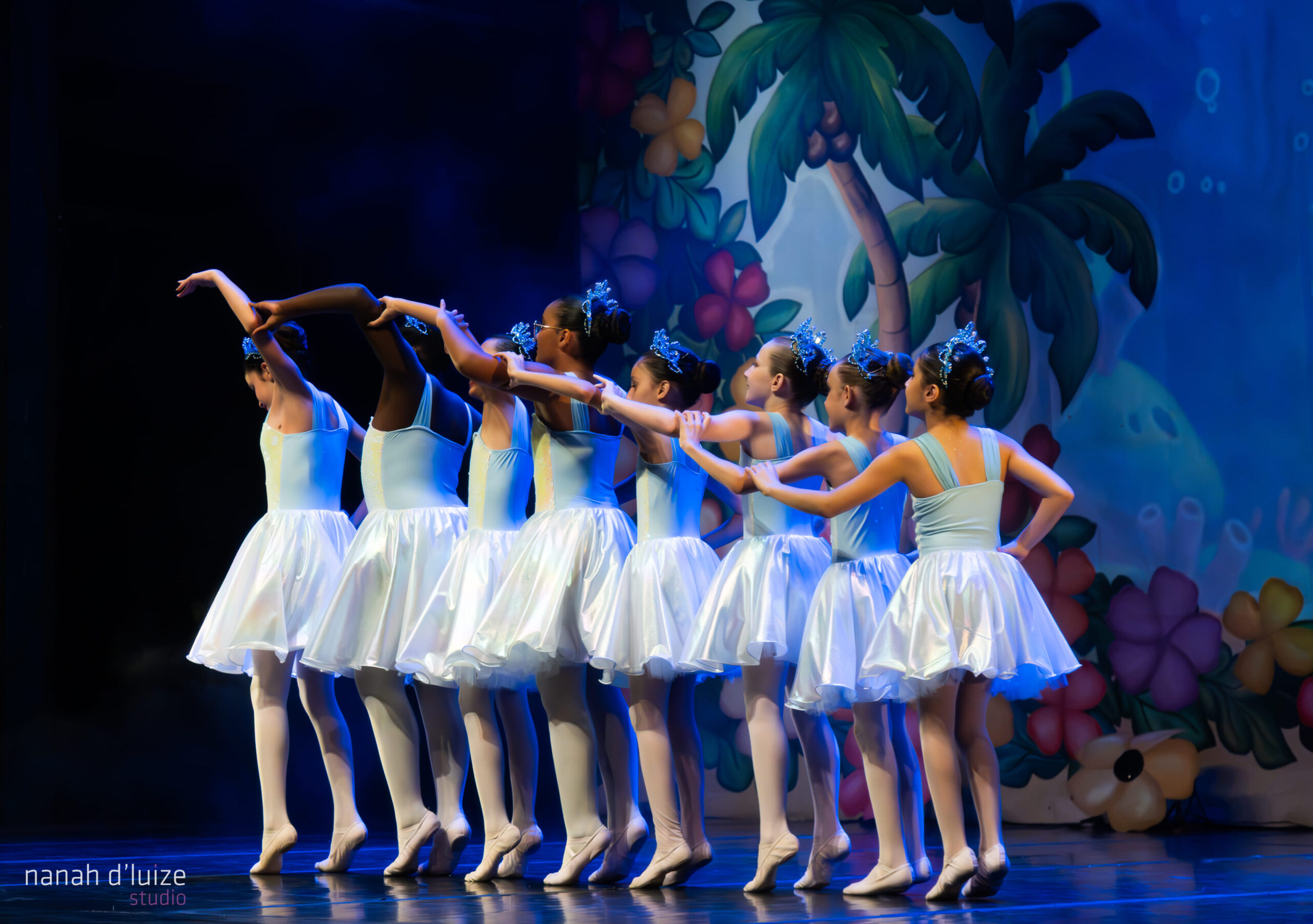 SSD golfinhos 77-Aprimorado-NR