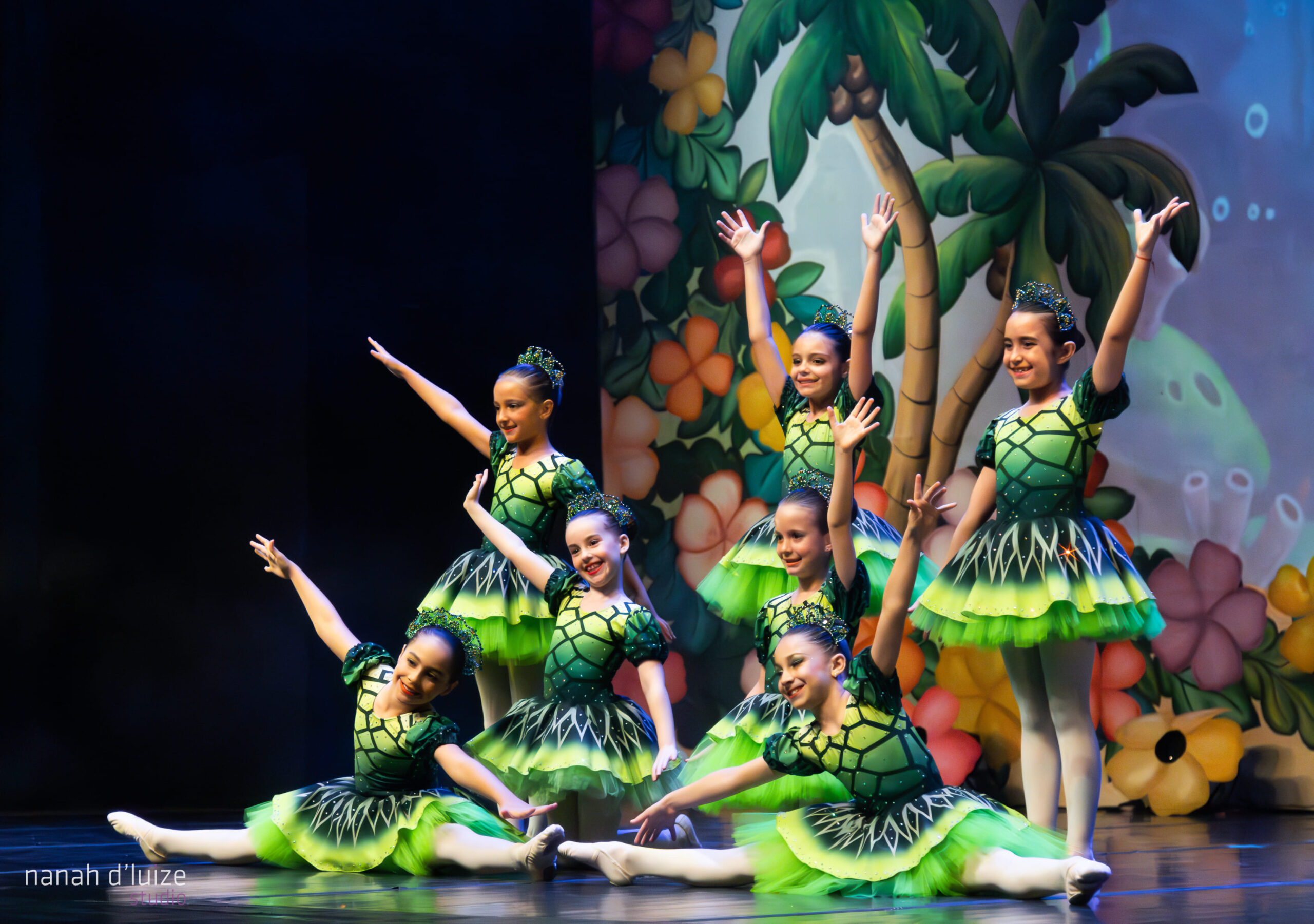 SSD tartaruga 88-Aprimorado-NR